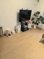 Revestimiento de Pared SPC Resistente al Agua, Anti-Rayones, Flexible, en Láminas Grandes para Proyectos Comerciales