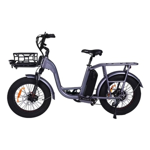 Bici elettrica <span class=keywords><strong>OTM</strong></span> 20 pollici bici elettrica 48V 750W mozzo posteriore motore consegna Fast Food bici elettrica - Product Image 2