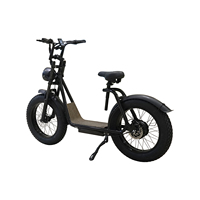 Vélo électrique adulte 20 ''à gros pneus avec batterie au lithium 48v 13Ah moteur de moyeu arrière tout-terrain frein à disque vélo de ville sport sans balais