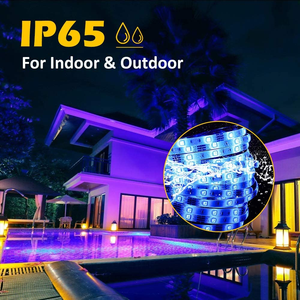 Bande lumineuse à LED 24V Bandes lumineuses à LED pour maison intelligente-Commande vocale avec Alexa et <span class=keywords><strong>Google</strong></span> Assistant - Product Image 2