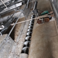 Nouveau système de nettoyage automatique de fumier de poulet HQ-QF HQ-QF-2, construction en acier galvanisé, finition longue durée, garantie 1 an, noir