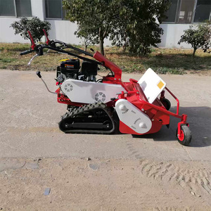 Dispositivo magico per il diserbo da giardino multifunzionale per il piccolo tosaerba domestico - Product Image 4