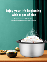 Mini cuiseur à riz personnalisé à faible quantité minimale de commande de 0,6 L 1,5 L pour la maison cuiseur à riz à tambour électrique de qualité supérieure pour la maison