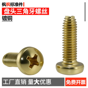 Pan Head <b>Copper</b> Plated <b>Screws</b> M5 16mm Metric Standard Thread National Standard - Product Image 4