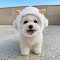 Chapeau pour chat, petit couvre-tête en laine pour animaux de compagnie, décoration pour petit chien, chapeau mignon en forme de mouton, accessoire magique pour la photographie