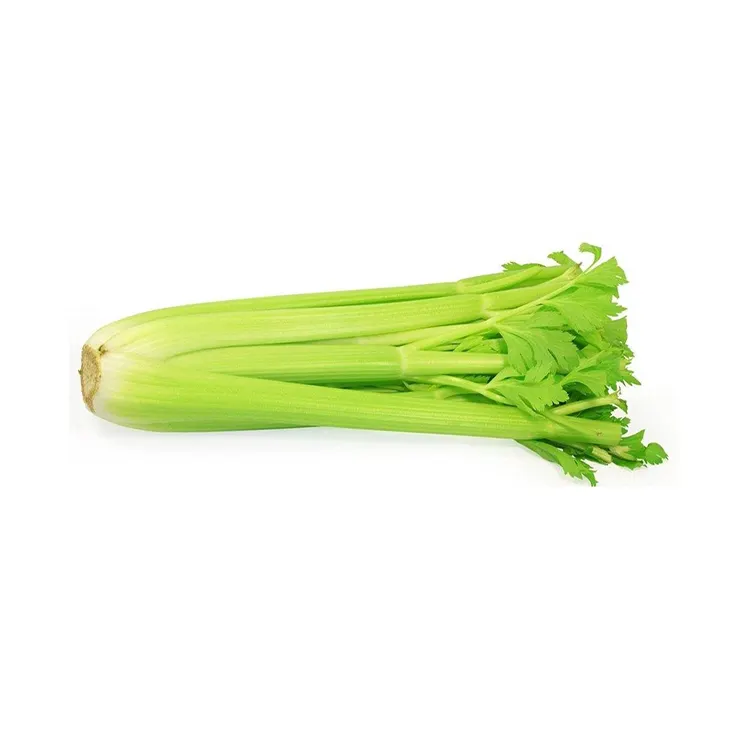 Légumes verts organiques, 1 pièce, vente en gros, frais et saine