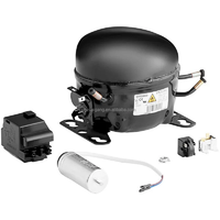 R134a NEU2140GK NEU2155GK NE2134Z NEU2178GK NEU6212Z NEU6214Z pour compresseurs de réfrigérateur Embraco Aspera