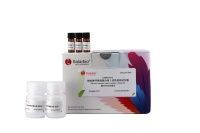 Kit de dosage de l'ammoniac sanguin Solarbio pour la recherche scientifique