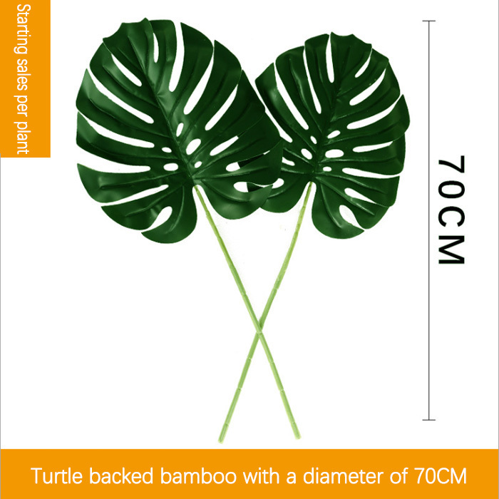 Deux branches de feuilles dorsales de tortue