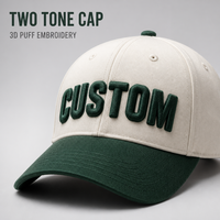 Casquette de baseball personnalisée avec logo brodé en relief 3D, bicolore, en coton, 5 panneaux, visière incurvée réglable, unisexe, vente en gros, OEM, faible MOQ