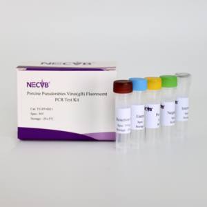 고감도 의사 바이러스 gB 유전자 qPCR 키트 | 50 테스트/CE 인증 - Product Image 5