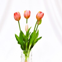 WY70107 Grosir Bunga Tulip Real Touch untuk Dekorasi Vas Pernikahan dan Rumah, Putih Pink 5 Tangkai, Bunga Tulip Buatan