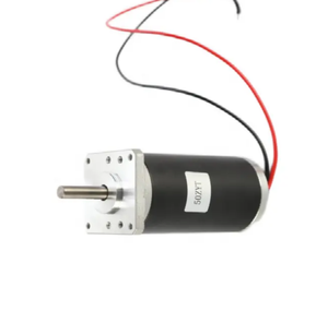 Tùy chỉnh 50zyt 24vrated DC động cơ nam châm vĩnh cửu thiết bị cơ khí với bàn chải giao hoán - Product Image 4