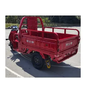 Heavy Carry Load 3 Wheel Electric Tricycle for Delivery Cargo / Tunisia Ghana Algeria 3 Wheeler Dumper Cargo Vehicle Tricycle