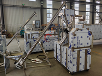 Machine à fabriquer des Kurkure/Cheetos/Nik Naks croustillants, ligne de production continue de snacks avec types frits et cuits au four