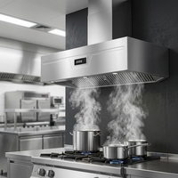 Hotte de cuisine commerciale en acier inoxydable 304, modèle Deluxe à fixation murale avec filtre à graisse et éclairage LED pour bars et restaurants