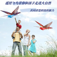 Jouet d'oiseau télécommandé DWI Dowellin, oiseau volant télécommandé, conception à aile battante unique, gyroscope 6 axes, facile à utiliser en intérieur et jouets télécommandés pour enfants
