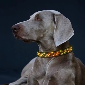 Fábrica personalizada 2023 nuevos accesorios para mascotas arnés logotipo personalizado ajustable en blanco liso Nylon mascota Led <span class=keywords><strong>Collar</strong></span> para perro - Product Image 4