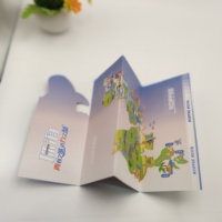 Livraison rapide, brochures pliables sur mesure A4 A3 - Tri/Bi/Die-Cut, flyers multi-pliés avec impression offset sur papier cartonné et papier kraft