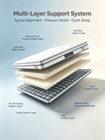 Usine de matelas OEM/ODM en gros – Matelas hybride 25 cm en mousse à mémoire de forme et ressorts ensachés en acier haute teneur en carbone, tailles Queen et King, avec soie glacée rafraîchissante