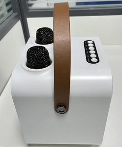 Machine de karaoké Hejia SP100 avec deux microphones sans fil - Product Image 4