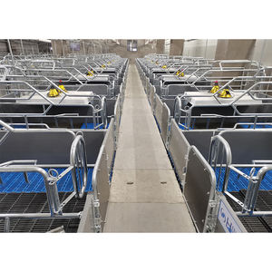 Nuevo Diseño 2026, Marca HENGYIN, Corral de Parto Galvanizado en Caliente Anticorrosión para Granjas Porcinas, Certificación CE/ISO, 15-25 Años - Product Image 2