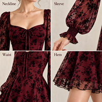 Robe mini personnalisée pour femme en maille transparente à motif floral floqué, col cœur, manches longues bouffantes, ourlet à volants, coupe trapèze