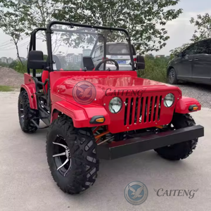 Vehículos Eléctricos de 2 Plazas, Autos Usados, Jeep de Gasolina, Mini Jeep de Alta Velocidad, ATV de <span class=keywords><strong>200cc</strong></span> 250cc, Jeep UTV de Gasolina para Niños y Adultos - Product Image 4