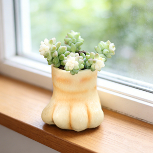 Adorable <span class=keywords><strong>pot</strong></span> à succulentes <span class=keywords><strong>en</strong></span> résine <span class=keywords><strong>en</strong></span> forme de patte de chat, <span class=keywords><strong>pot</strong></span> à fleurs unique <span class=keywords><strong>en</strong></span> forme de patte d'animal, <span class=keywords><strong>pot</strong></span> décoratif fantaisie pour la maison, le jardin ou le bureau - Product Image 4