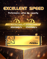 PUSKILL PCIe 3.0 NVMe M.2 SSD 128GB-2TB Internal Solid State Drive Grosir Perdagangan Cina untuk PC Laptop