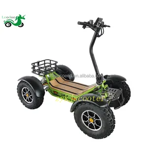 China Factory Adult Electric ATV/UTV Manufacturers Track Outdoor Sports And Entertainment For Racing