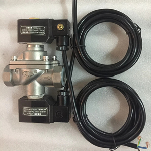Válvulas solenoides de doble bobina S.S. para dispensadores de GLP (CF8-E) CF8-E Solenoide GLP 24V Válvula solenoide de corte GLP - Product Image 1
