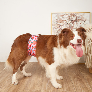 Culottes hygiéniques lavables et très absorbantes pour chiens mâles – Idéales pour la propreté et la période de chaleur des animaux - Product Image 2