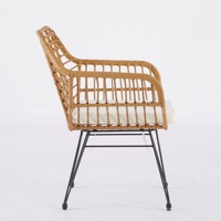 Ensemble de jardin en rotin en vrac Ensemble de tables et de chaises d'extérieur Chaise de salle à manger d'extérieur Chaise en rotin en plastique