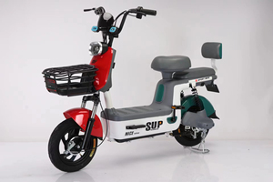 Bicicleta de Montaña Eléctrica en Oferta, 48V, 14 Pulgadas, con Batería de 20AH y Motor de 350W/500W, Modelo XY-DDC10 - Product Image 1