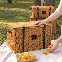 Handgewebter Weidenkorb Picknickkorb Aufbewahrungskorb mit Trageriemen und Deckel für Camping Outdoor Obst Brot Gemüse