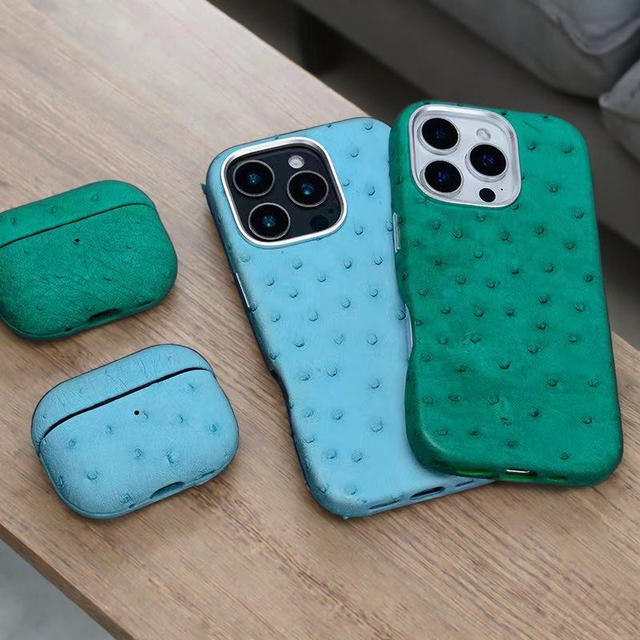 Luxury Genuine Leather Ostrich Embossed Phone Case for SE/XR/12-17 with Shockproof Wallet Holder & Screen Protector