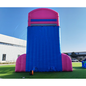 Castillo Inflable Comercial de PVC, Tobogán Gigante de Doble Carril, Color Rosa, para Adultos, Uso en el Hogar y la Escuela - Product Image 6