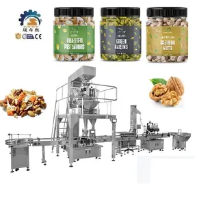 CE Best Price 1kg Pistachio Cashew Nuts Filling Packing Machine Balloon Filling Machines