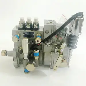 Original Dongfanghong YTO Tractor Diesel Engine Fuel Injection pump BH3PY105 T832080037SE