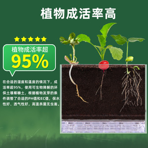 Kit d'expériences scientifiques, fenêtre d'observation des racines des plantes, jouet éducatif DIY pour enfants de 8 à 13 ans, matériau plastique - Product Image 3