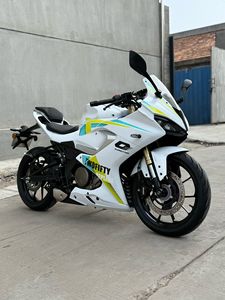 Motocicleta QJ Motor Race 250 Ligera de 250cc, Monocilíndrica, con Inyección Electrónica de Combustible, Moto Deportiva, Mini Moto, Moto de Carreras Urbanas - Product Image 4