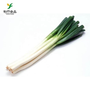 Cebolla de primavera cebolla verde fresco en a granel - Product Image 1