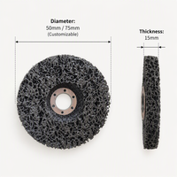 Disque de décapage et de nettoyage REX noir 4,5 pouces 115 mm en carbure de silicium grain 36-150 pour décapage de peinture, construction, certifié FSC
