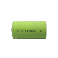 Batterie rechargeable Ni-MH 1,2 V format C 5000 mAh haute capacité faible auto-décharge pour jouets, appareils électroménagers, vente en gros, OEM