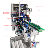 Impresora de Pantalla Automática de Alta Velocidad para la Industria del Vidrio, Vasos de Papel, Envases de PET y PP, Impresión a un Solo Color