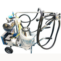 Machine d'écumoire de lait d'usine OEM Livraison rapide lait nido pour adultes chèvre
