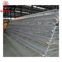 Cages à poules pondeuses et cailles complètes à prix abordable avec abreuvoir et mangeoire automatiques
