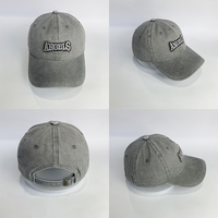 Gorra de Béisbol Unisex con Logotipo Bordado en Gris, Personalizable, Versátil, de Diseño, para Primavera y Otoño