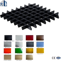 Grille de plafond en aluminium imperméable pour hall d'exposition de musée, design décoratif, légère, durable, taille personnalisée, vente en gros